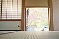 柔らかな光が室...
