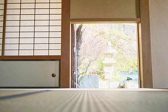 柔らかな光が室...