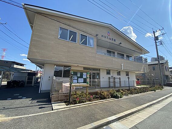 めばえ保育園　...