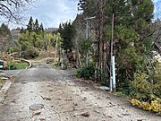 前面道路（北から南）