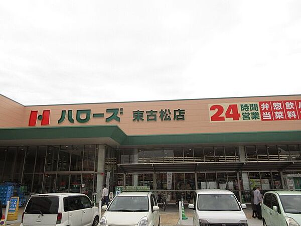 周辺を拡大表示