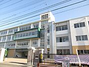 岡山市立鹿田小学校 780m