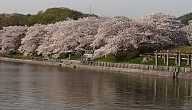 岡山県倉敷市八王寺町147（賃貸アパート1LDK・2階・42.78㎡） その19