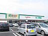 周辺：エブリイ西阿知店まで800m