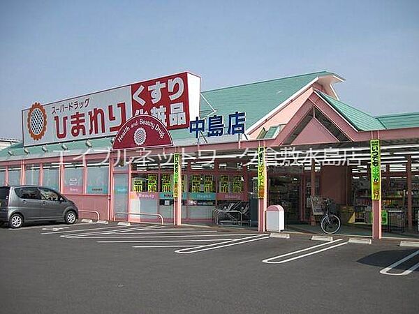 画像23:スーパードラッグひまわり中島店 731m