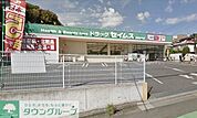 ドラッグセイムス浦和岸町店 1015m