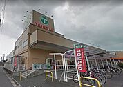 エコスTAIRAYA浦和栄和店 1176m