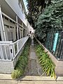 通路
