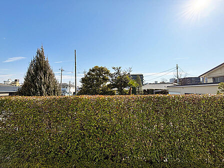 【住戸からの眺望】広い空と敷地内の植栽が望めます。
