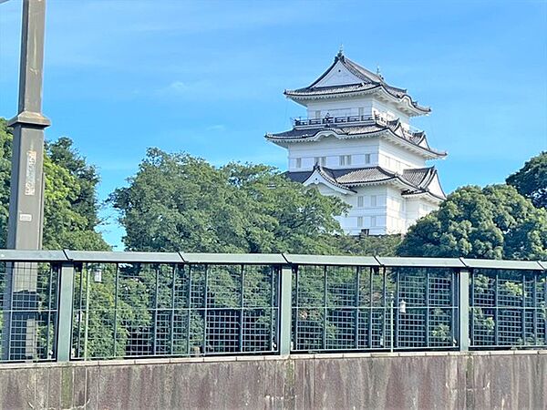 周辺を拡大表示
