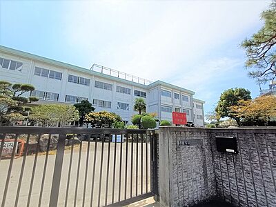 周辺：平塚市立金目小学校（690m）