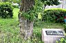 周辺：こうぼうふじみ公園（3510m）