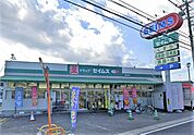 ドラッグセイムス 愛川町店（760m）