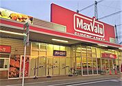 マックスバリュ平塚河内店（160m）