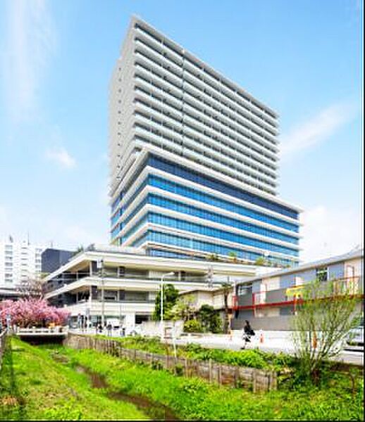 東京都渋谷区笹塚１丁目(賃貸マンション1K・14階・33.05㎡)の写真 その1