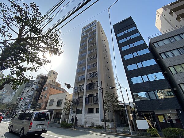 東京都新宿区白銀町(賃貸マンション1LDK・10階・41.59㎡)の写真 その3