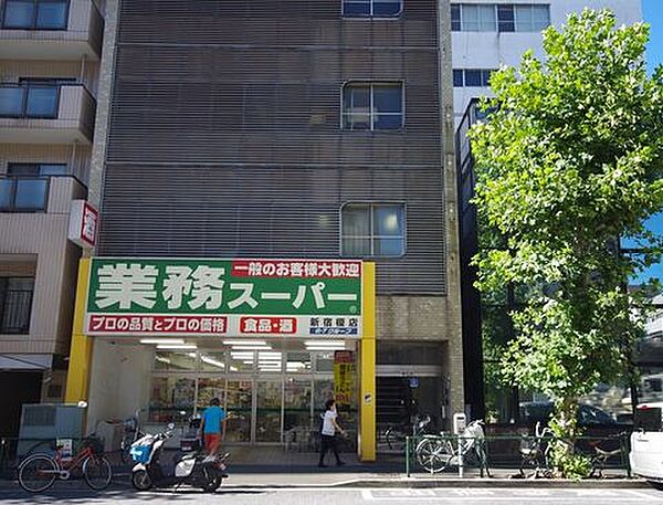 東京都新宿区白銀町(賃貸マンション1K・1階・25.43㎡)の写真 その28
