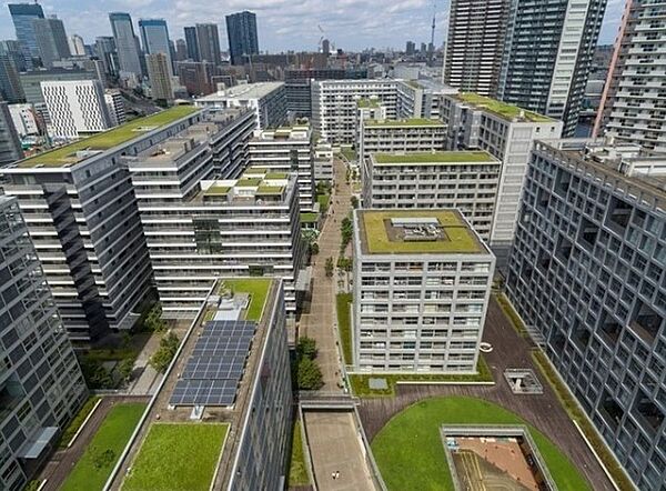 東京都江東区東雲１丁目(賃貸マンション2LDK・5階・67.61㎡)の写真 その24