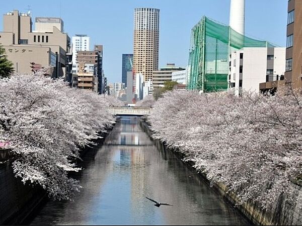 東京都目黒区青葉台１丁目(賃貸マンション1K・6階・30.18㎡)の写真 その3