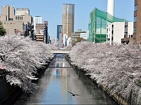 東京都目黒区青葉台１丁目18-7（賃貸マンション1K・4階・23.03㎡） その3