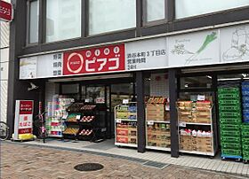 東京都渋谷区本町３丁目5-9（賃貸マンション1LDK・2階・33.32㎡） その29