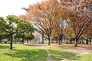 青山公園[1200m]