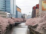 目黒川[400m]