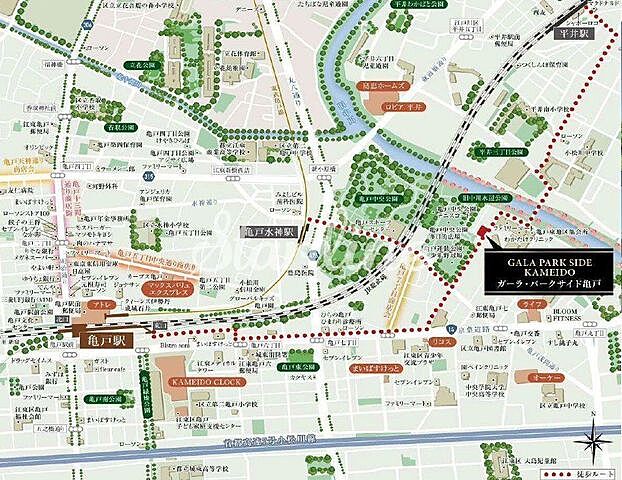 地図