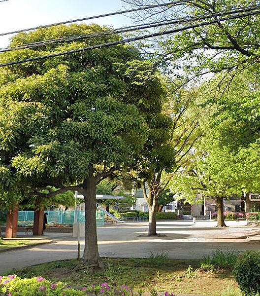 東京都墨田区東向島３丁目(賃貸マンション1LDK・3階・33.63㎡)の写真 その17