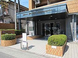 鹿児島市電2系統 加治屋町駅 徒歩4分の賃貸マンション