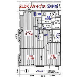 アテンザ鴨池 2LDKの間取図画像