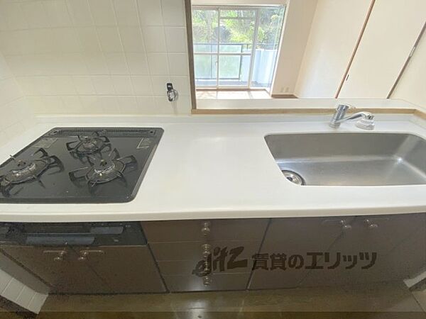 パラツィーナセシリア生駒 ｜奈良県生駒市東新町(賃貸マンション3LDK・2階・70.40㎡)の写真 その30