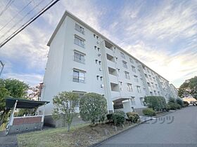 山田池住宅11号棟  ｜ 大阪府枚方市田口山１丁目（賃貸マンション2LDK・4階・46.77㎡） その12