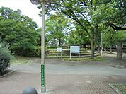 伝法公園（146m）