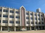 大阪市立波除小学校（119m）