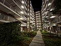 夜の様子