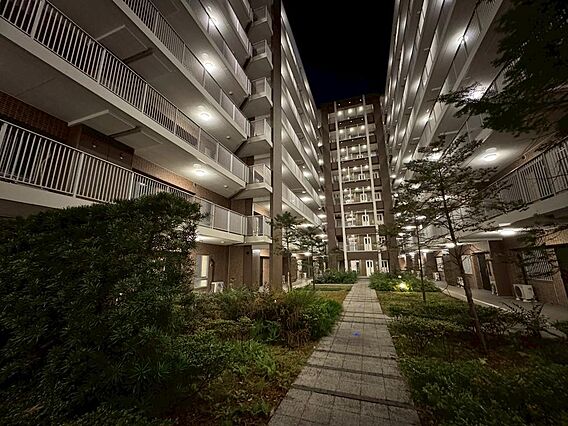 夜の様子