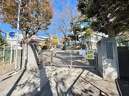 横浜市立菊名小学校（800m）