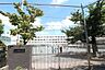 周辺：横浜市立鶴見小学校（290m）
