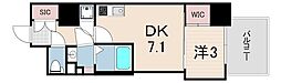 セレニテ神戸ミラク 1DKの間取図画像
