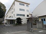 鳴門市立黒崎小学校まで349ｍ