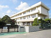北島町立北島南小学校まで517ｍ