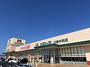 ハローズ北島中央店まで1、543ｍ