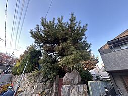 仲田2丁目戸建