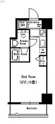 ドールマウスタワー ワンルームの間取図画像