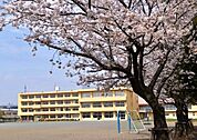 社家小学校 856m