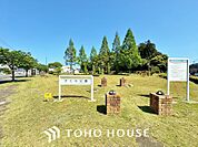 さくら公園　