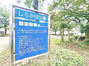 しらかば公園　