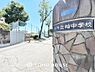 周辺：柏中学校　