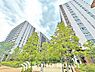 周辺：シティテラスモール金町店　まで約300m